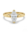 Horse Eye Ring